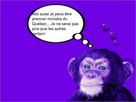 singe